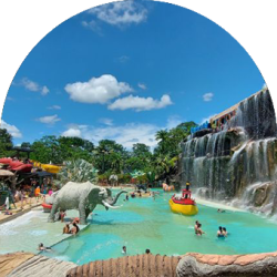 med_cover - copia - small