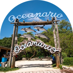 qhacer_small - cartagena06