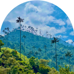 qhacer_small - eje02