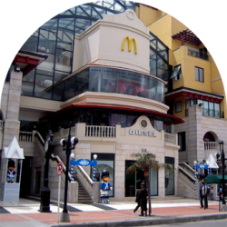 servicios_bog_small03