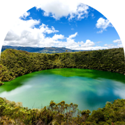 servicios_bog_small06