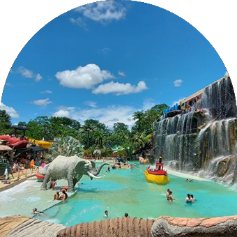 med_cover - copia - small