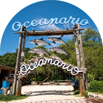 qhacer_small - cartagena06