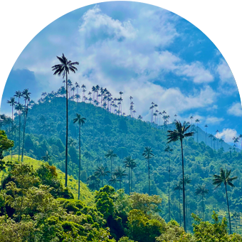 qhacer_small - eje02